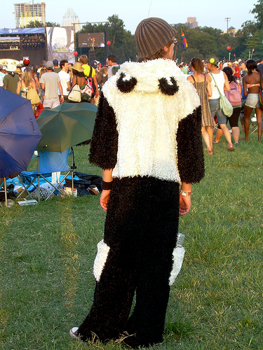 pandasuit